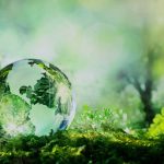 Αύξηση Ποσοστών Ανακύκλωσης στην Κρήτη.  Η Συμβολή της Recycling Project.